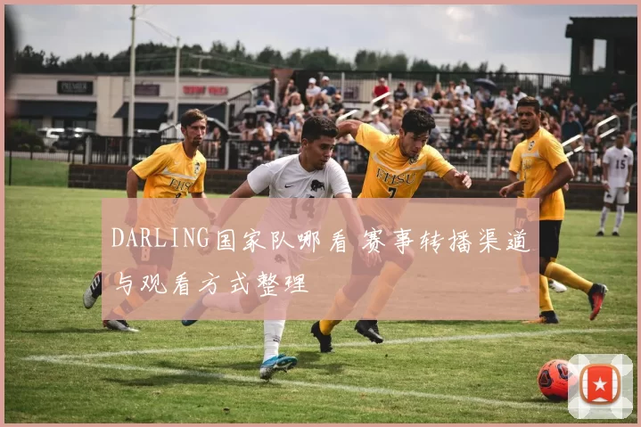 DARLING国家队哪看 赛事转播渠道与观看方式整理