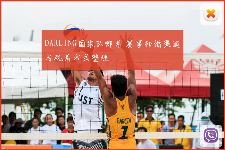 DARLING国家队哪看 赛事转播渠道与观看方式整理