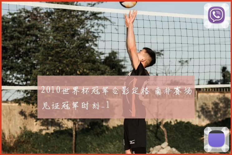 2010世界杯冠军合影定格 南非赛场见证冠军时刻_1