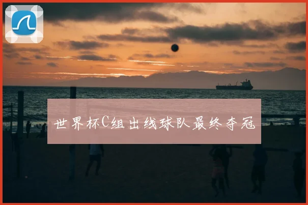 世界杯C组出线球队最终夺冠